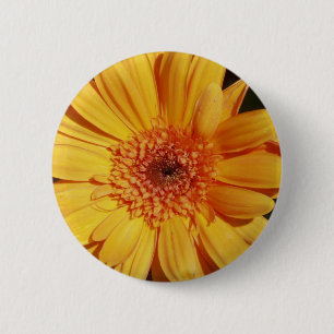 Gerbera Pin - Button.
