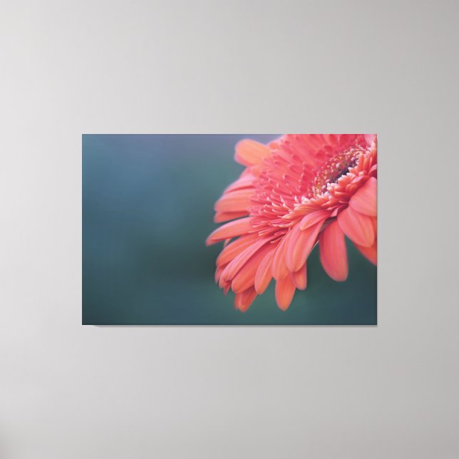 Gerbera red flower canvas print (Front)