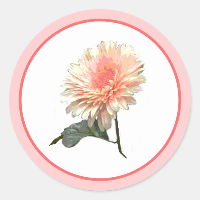 Gerbera Splinder Design Classic Round Sticker (Front)