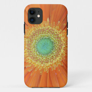Gerbera Sun iPhone 11 Case