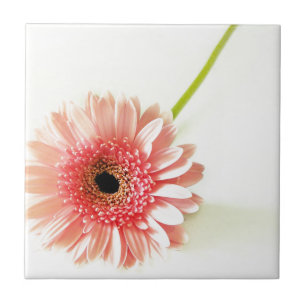 Gerbera Tile