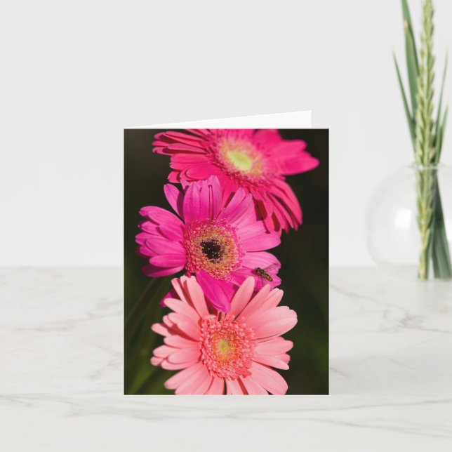 Gerberas Card (Front)