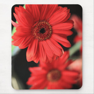 Gerberas Mouse Mat