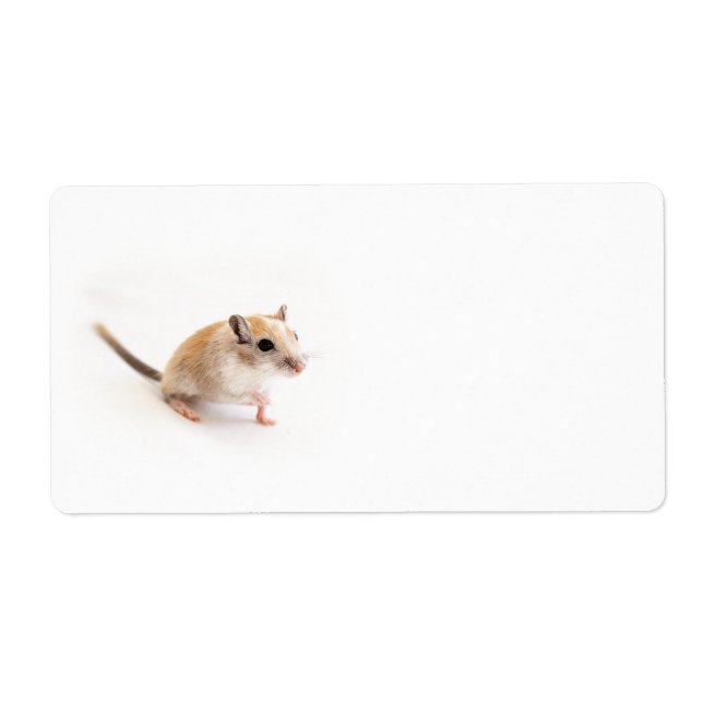 Gerbil Cute Baby Animal Pet Gerbils Template (Front)