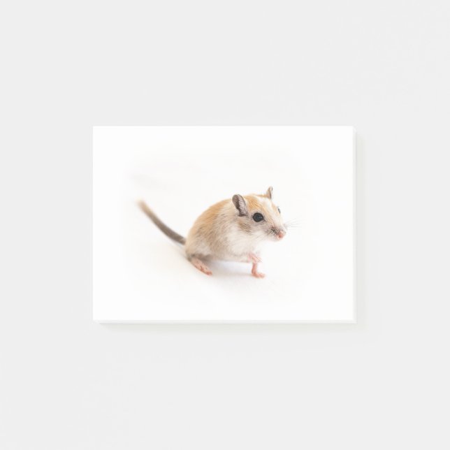 Gerbil Cute Baby Animal Pet Gerbils Template Post-it Notes (Front)
