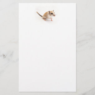 Gerbil Cute Baby Animal Pet Gerbils Template Stationery