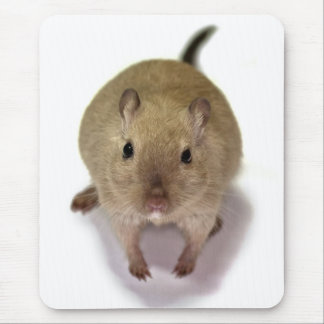 Gerbil Mousemat