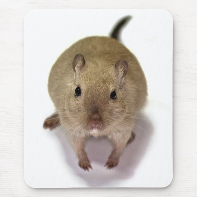 Gerbil Mousemat (Front)