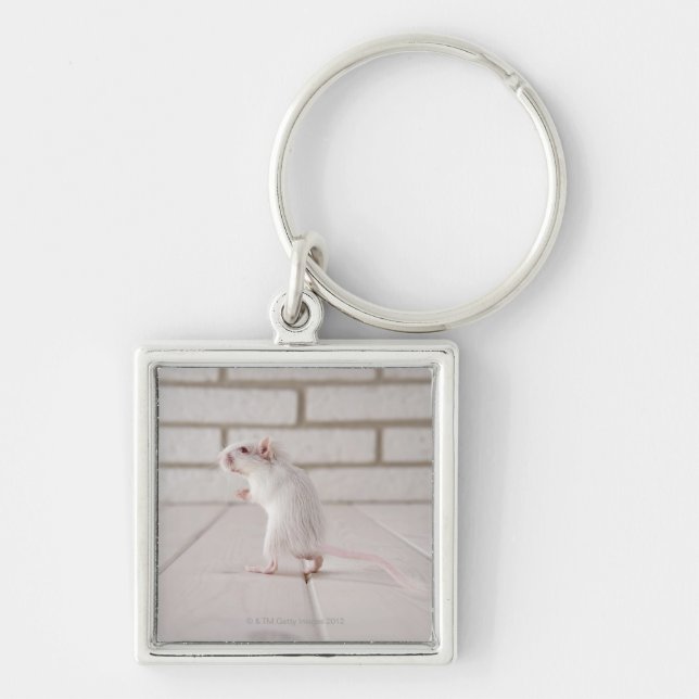 Gerbil standing key ring (Front)