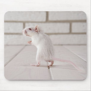 Gerbil standing mouse mat