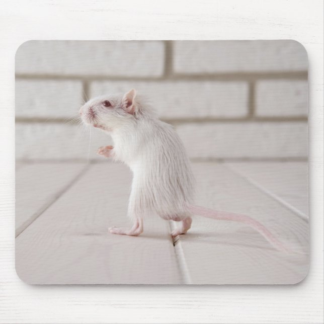 Gerbil standing mouse mat (Front)