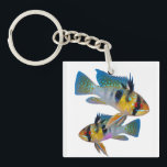 German Blue Rams Cichlids Aquarium Fish Art Key Ring<br><div class="desc">German Blue Rams Cichlids Aquarium Fish Tank Lovers Art</div>