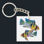 German Blue Rams Cichlids Aquarium Fish Art Key Ring<br><div class="desc">German Blue Rams Cichlids Aquarium Fish Tank Lovers Art</div>