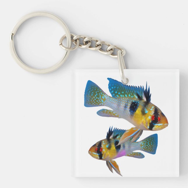 German Blue Rams Cichlids Aquarium Fish Art Key Ring (Front)