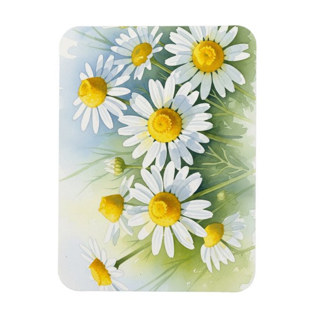 German Chamomile in Bloom Magnet (Vertical)