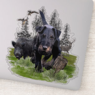 German Hunting Terrier (Jagdterrier)  