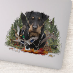 German Hunting Terrier (Jagdterrier) 