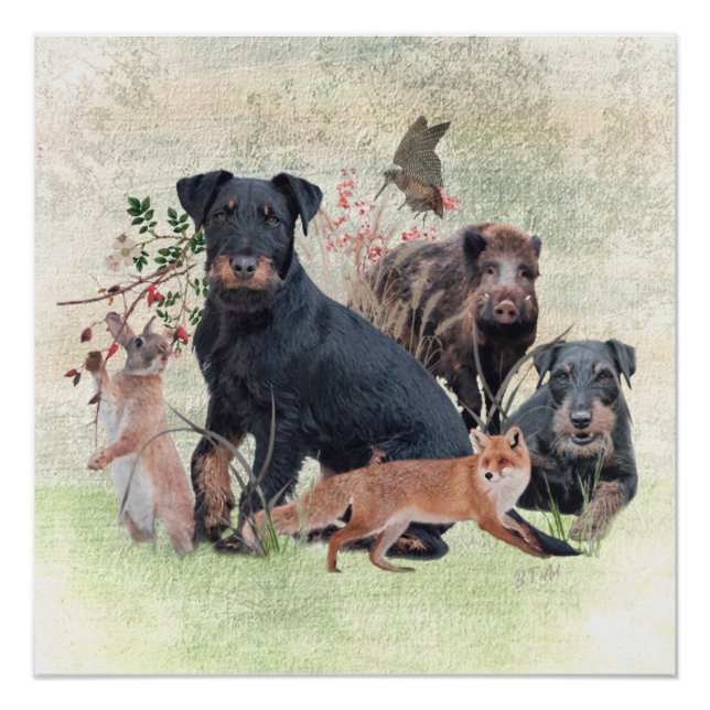 German Hunting Terrier (Jagdterrier)  Poster (Front)