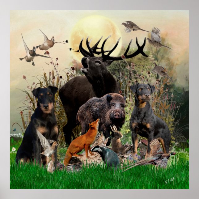 German Hunting Terrier (Jagdterrier)    Poster (Front)