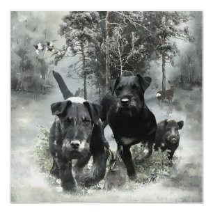 German Hunting Terrier, The Jagdterrier , Art  Poster