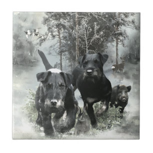 German Hunting Terrier, The Jagdterrier , Art Tile