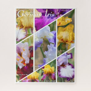 German Iris_02 [Jigsaw puzzle: 520P] ジグソーパズル Jigsaw Puzzle