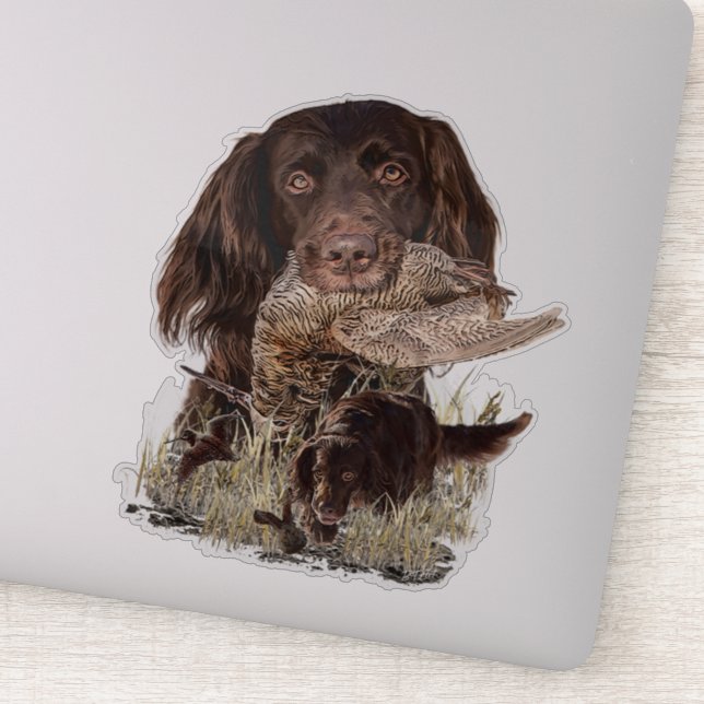 German Longhaired Pointer   (Detail)