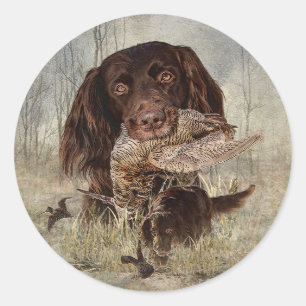 German Longhaired Pointer Classic Round Sticker