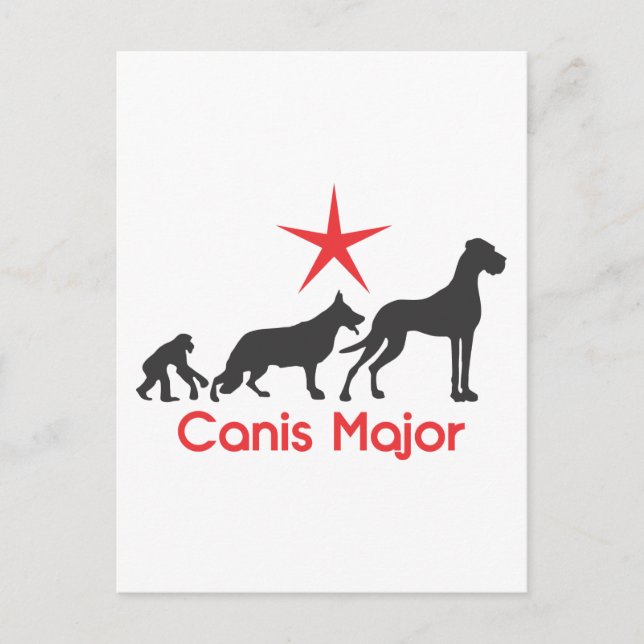 German Mastiff Canis Major Postcard (Front)