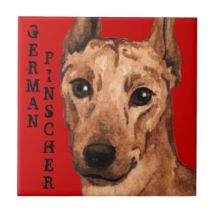 German Pinscher Colour Block Tile