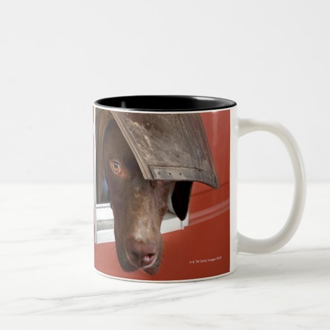 German pointer looking outside, through doggie Two-Tone coffee mug (Right)