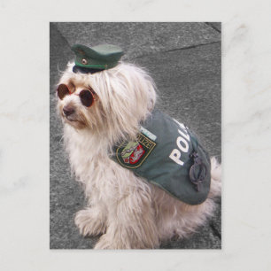 German Police Dog with Handcuffs Postcard