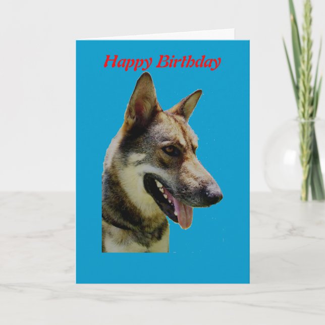 German Shepard Birthday Card (Front)
