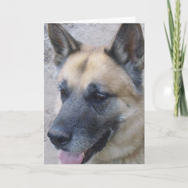 German Shepard Birthday Card (Front)