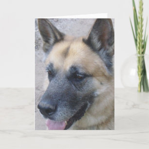 German Shepard Birthday Card