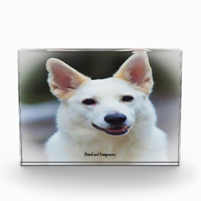 German Shepard Dog. Photo Block (Front)