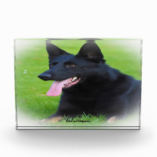 German Shepard Dog. Photo Block (Front)