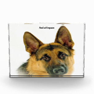 German Shepard Dog. Photo Block