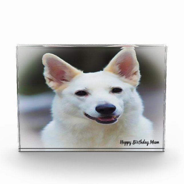 German Shepard Dog. Photo Block (Front)