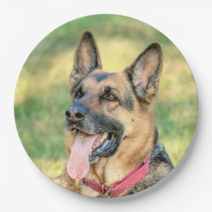 German Shepard Paper Plate