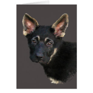German Shepard Puppy-Pastels