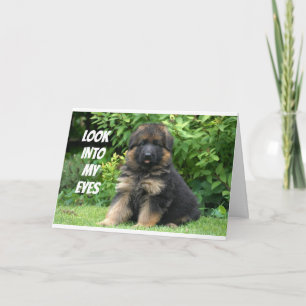 GERMAN SHEPARD SAYS "HAPPY 40th" Card