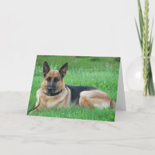 German Sheperd - Dog Greeting Card