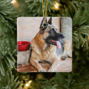 German Sheperd Resting By Water Basin Ceramic Ornament
