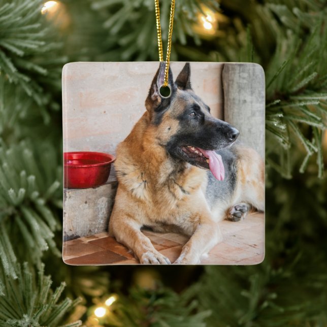 German Sheperd Resting By Water Basin Ceramic Ornament (Tree)