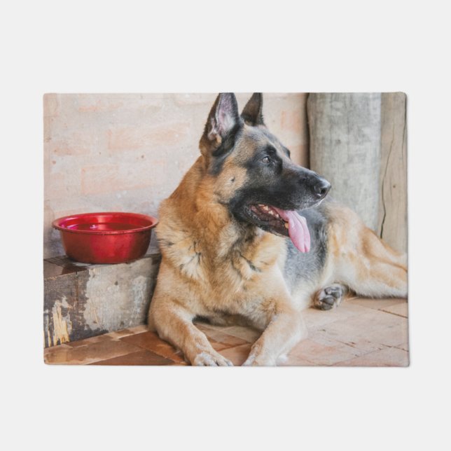 German Sheperd Resting By Water Basin Doormat (Front)