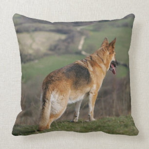 German Shephard Looking Down Hill Cushion