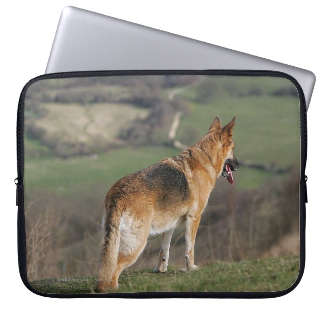 German Shephard Looking Down Hill Laptop Sleeve (Front)