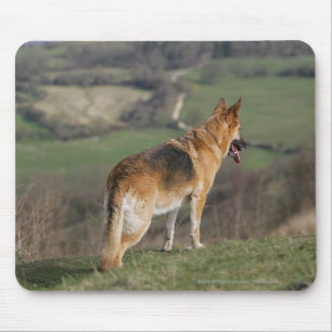 German Shephard Looking Down Hill Mouse Mat