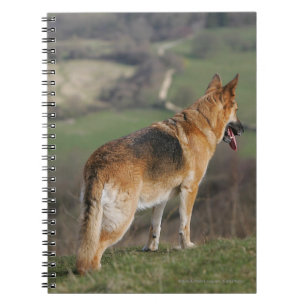 German Shephard Looking Down Hill Notebook